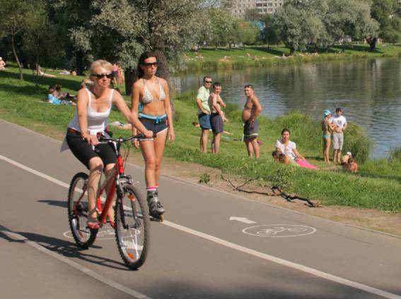 Велодорожка в Муринском парке
