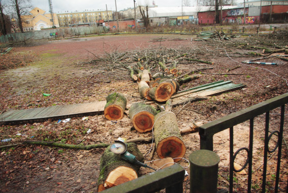 Вырубка деревьев на Выборгской улице